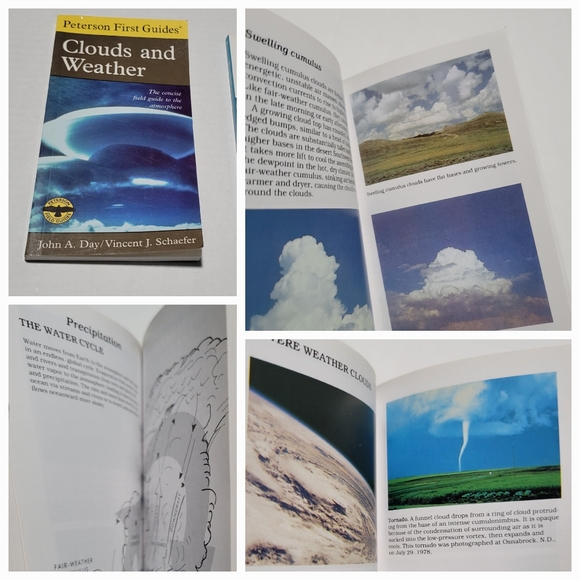 Set of 7 GOLDEN PRESS NATURE / SCIENCE GUIDES Insects, Trees, Birds, Wildflowers - Picture 10 of 10